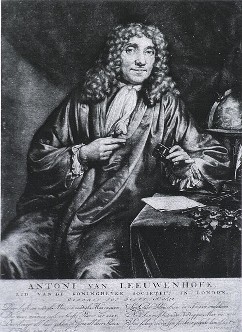 Painted portrait of Antonie van Leeuwenhoek with long curled hair